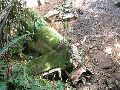 Crew of B-24 Liberator wreckage in Malaysia jungle will be buried