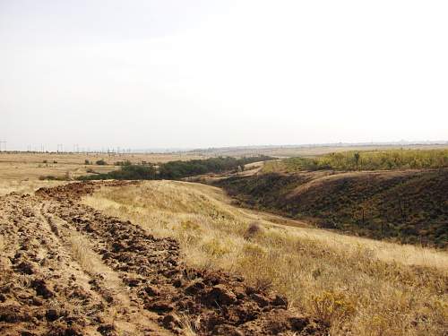 Stalingrad: digging near Gorodis&#1089;he &amp; Gumrak