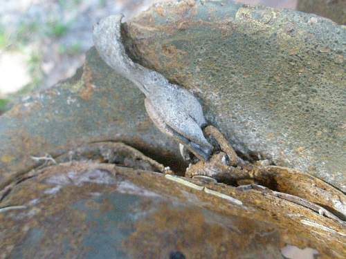 Narva Battlefield Helmet Finds Soviet/ German Relics