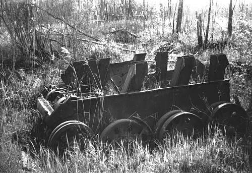 1980's end... Digging at the Wolchow front