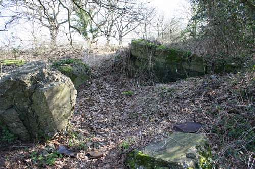 Remnants of Kampfgruppe Diefenthal