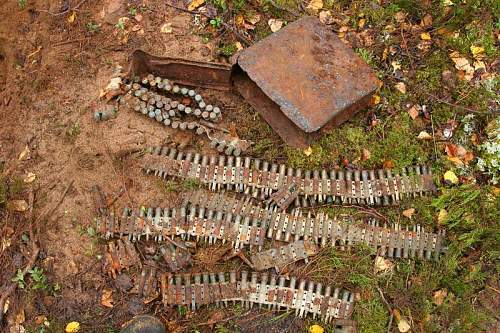 Warning graphic content: St George's search group:Karelian neck