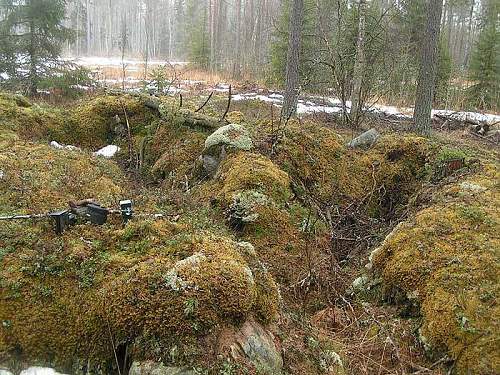 Warning graphic content: St George's search group:Karelian neck