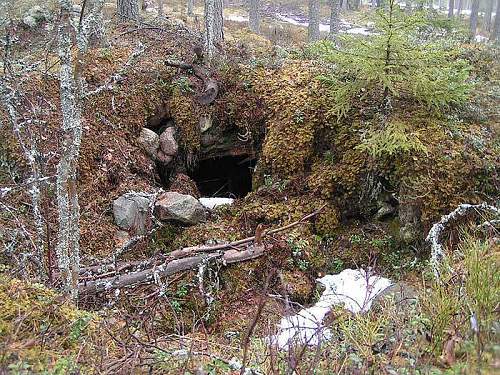 Warning graphic content: St George's search group:Karelian neck