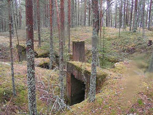 Warning graphic content: St George's search group:Karelian neck