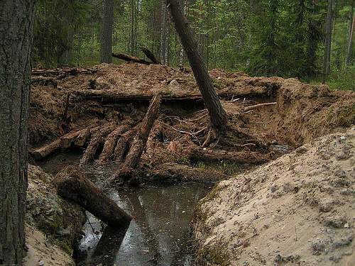 Warning graphic content: St George's search group:Karelian neck