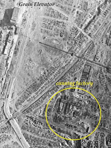 Stalingrad: digging near Gorodis&#1089;he &amp; Gumrak