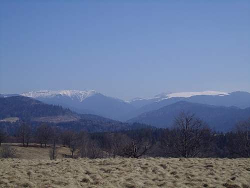 Metal detecting in eastern Carpathian mountains