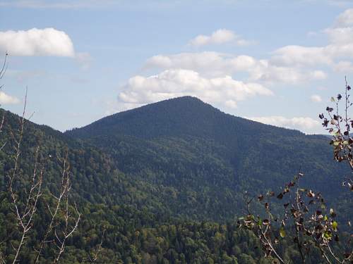 Metal detecting in eastern Carpathian mountains