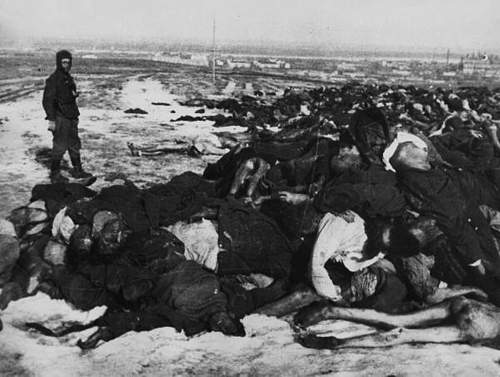 Stalingrad: digging near Gorodis&#1089;he &amp; Gumrak