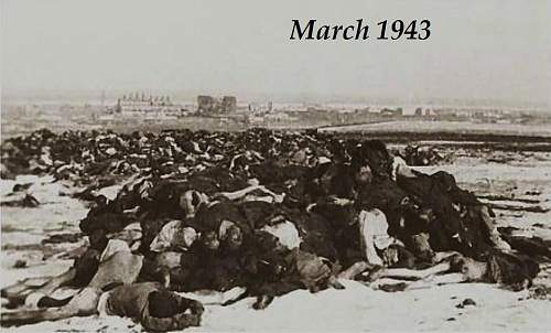 Stalingrad: digging near Gorodis&#1089;he &amp; Gumrak