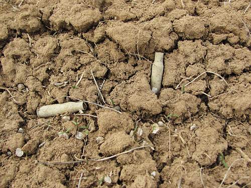 Stalingrad: digging near Gorodis&#1089;he &amp; Gumrak