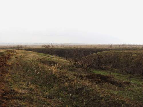 Stalingrad: digging near Gorodis&#1089;he &amp; Gumrak