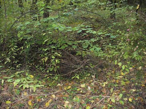 1944-45 battlefield relics.