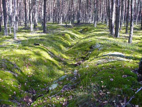 1944-45 battlefield relics.