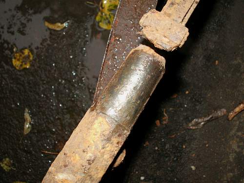 Battlefield found 1933 Mosin rifle