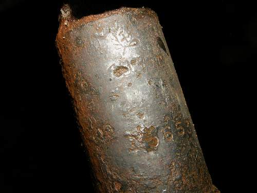 Battlefield found 1933 Mosin rifle