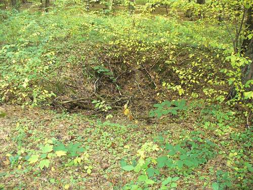 1944-45 battlefield relics.