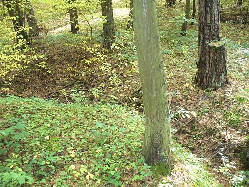 1944-45 battlefield relics.