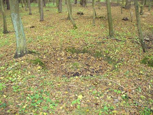 1944-45 battlefield relics.