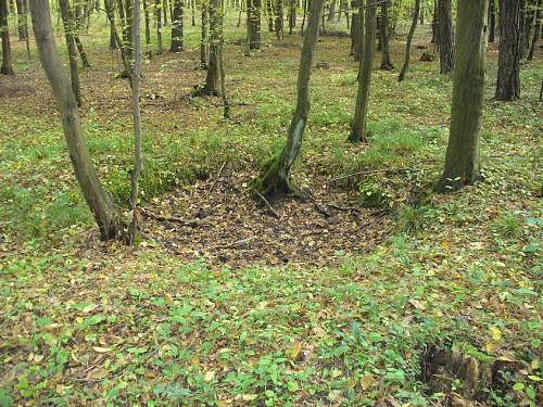 1944-45 battlefield relics.