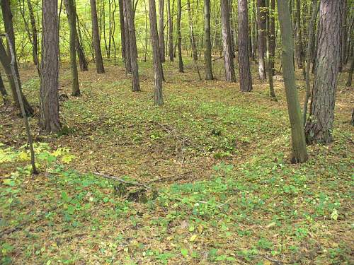 1944-45 battlefield relics.