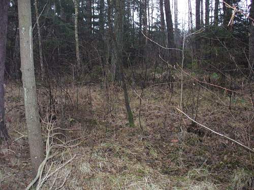 1944-45 battlefield relics.