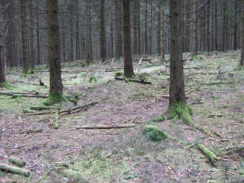 Ardennes front - Losheimer area