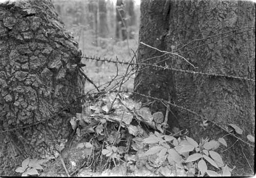 Late 80's digging at the Wolchow front