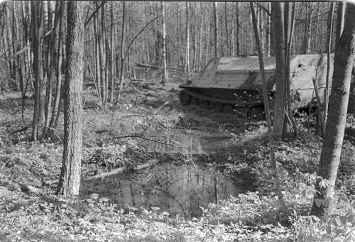 Late 80's digging at the Wolchow front