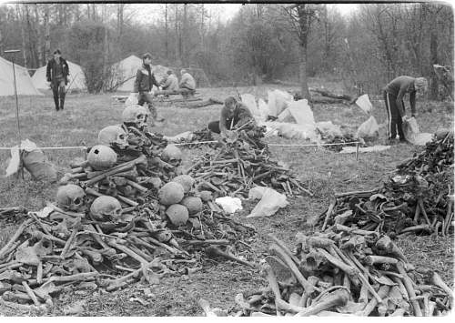 Late 80's digging at the Wolchow front