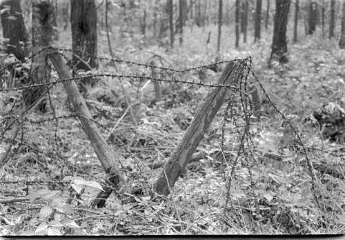 Late 80's digging at the Wolchow front