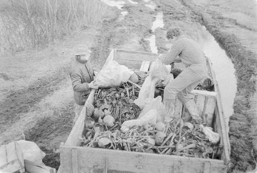 Late 80's digging at the Wolchow front