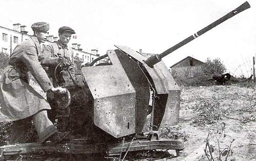 Stalingrad: digging near Gorodis&#1089;he &amp; Gumrak