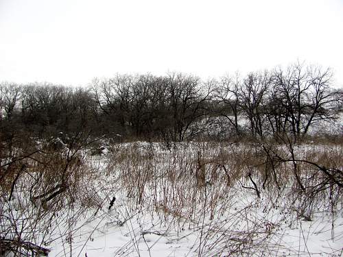 Stalingrad: digging near Gorodis&#1089;he &amp; Gumrak