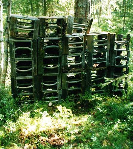 Battlefields in North Karelia( SS-Nord Division)