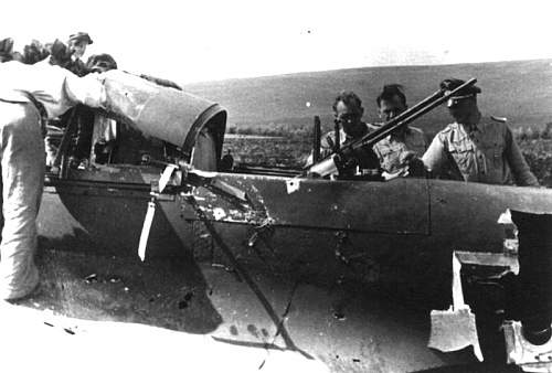 Stalingrad: digging near Gorodis&#1089;he &amp; Gumrak