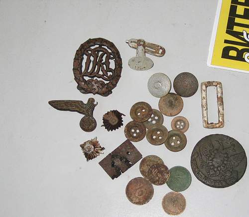 Findings in season 2013