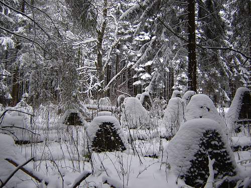 Eifel region 2008