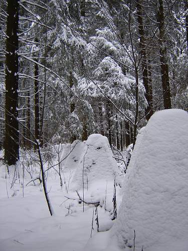 Eifel region 2008