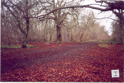 Remains from Polish Para Camp in England