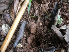 Australian  WWII - Far North  Queensland Metal detecting and  recovery