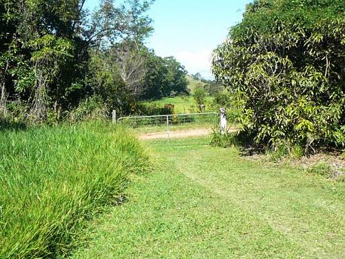 Australian  WWII - Far North  Queensland Metal detecting and  recovery