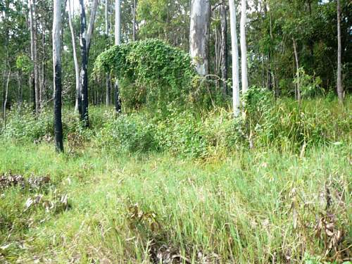 Australian  WWII - Far North  Queensland Metal detecting and  recovery