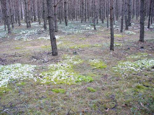 1944-45 battlefield relics.