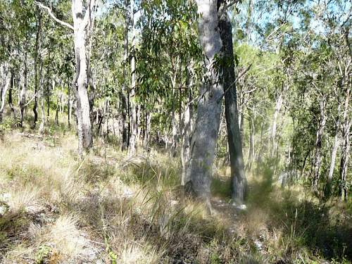 Australian  WWII - Far North  Queensland Metal detecting and  recovery