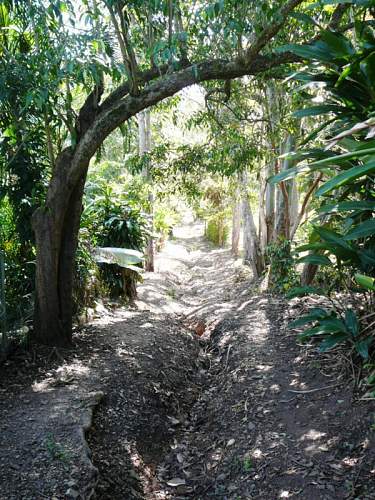 Australian  WWII - Far North  Queensland Metal detecting and  recovery