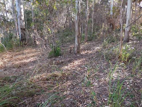 Australian  WWII - Far North  Queensland Metal detecting and  recovery