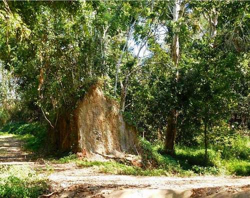 Australian  WWII - Far North  Queensland Metal detecting and  recovery