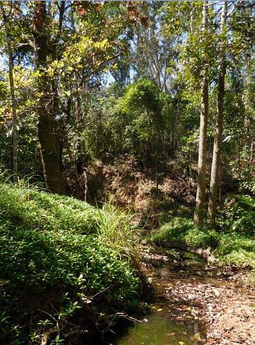 Australian  WWII - Far North  Queensland Metal detecting and  recovery